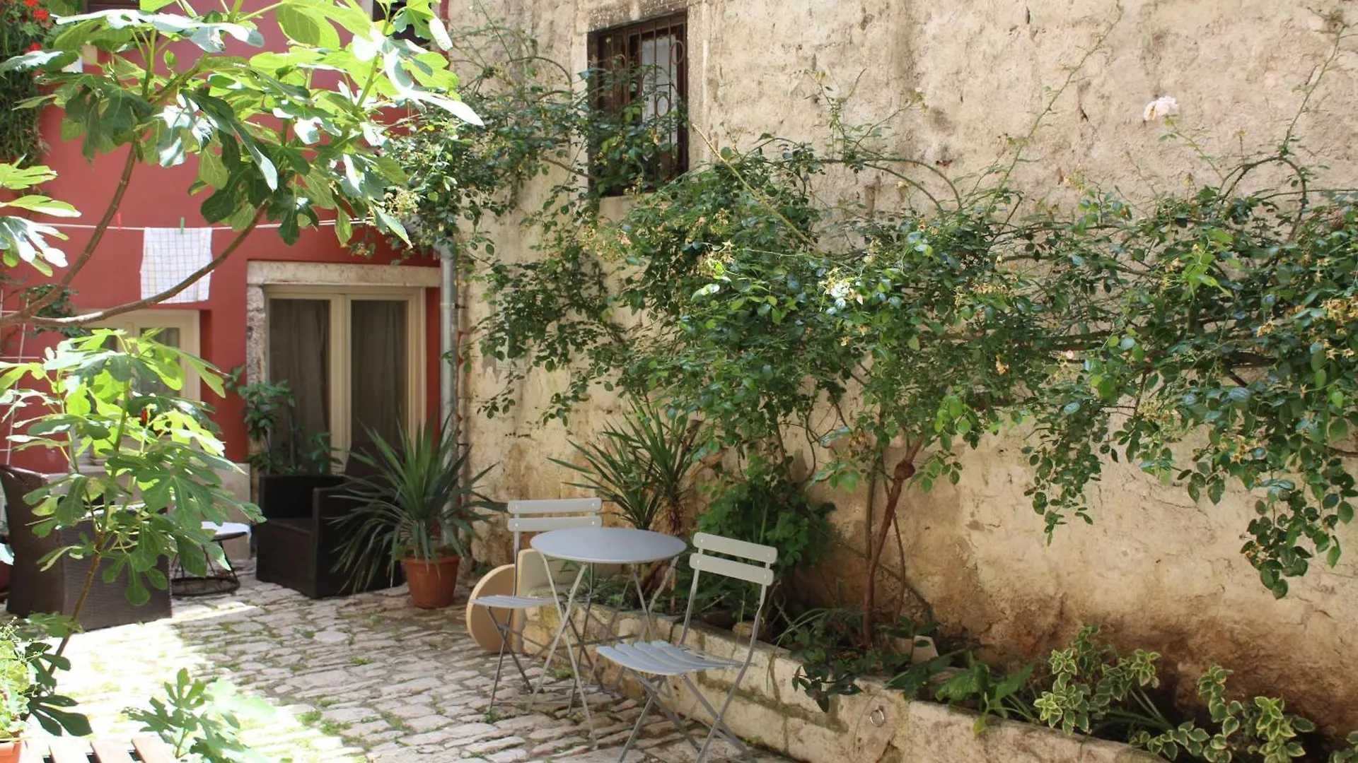 Rooms Da Angelica Old City Ρόβινι Κροατία